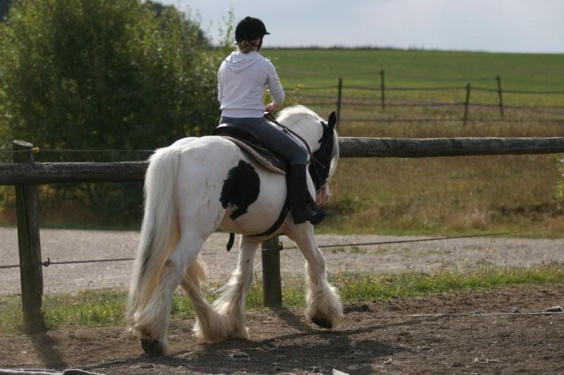 Cool Man... Tenue de DRESSAGE en bas de la P2 !! Cool_m42