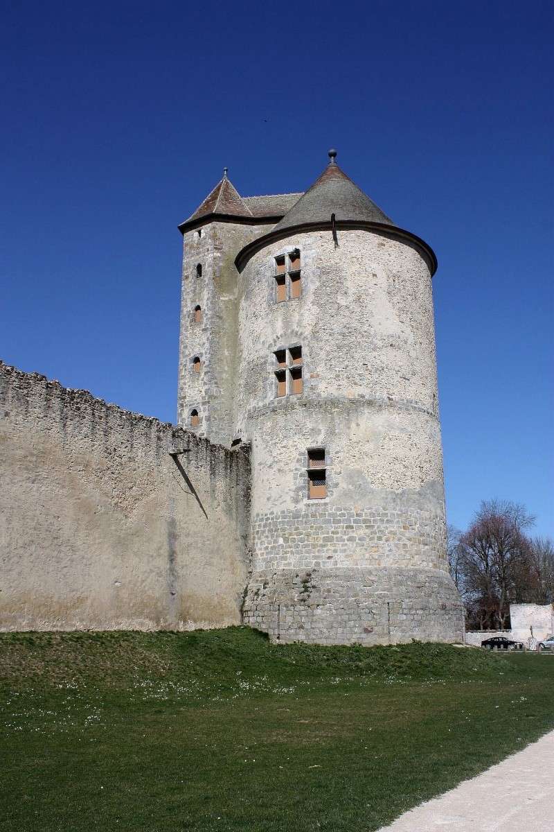 Les tours et les remparts de Blandy les Tours Img_5011