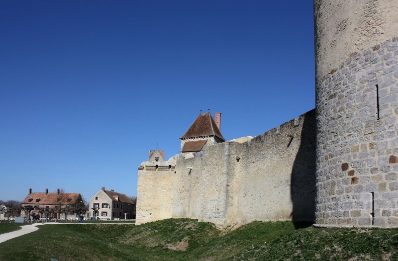 Les tours et les remparts de Blandy les Tours Img_5013