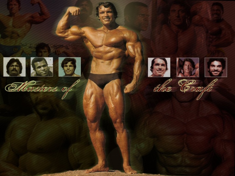 wallpapers divers....... - Page 8 Arnold15