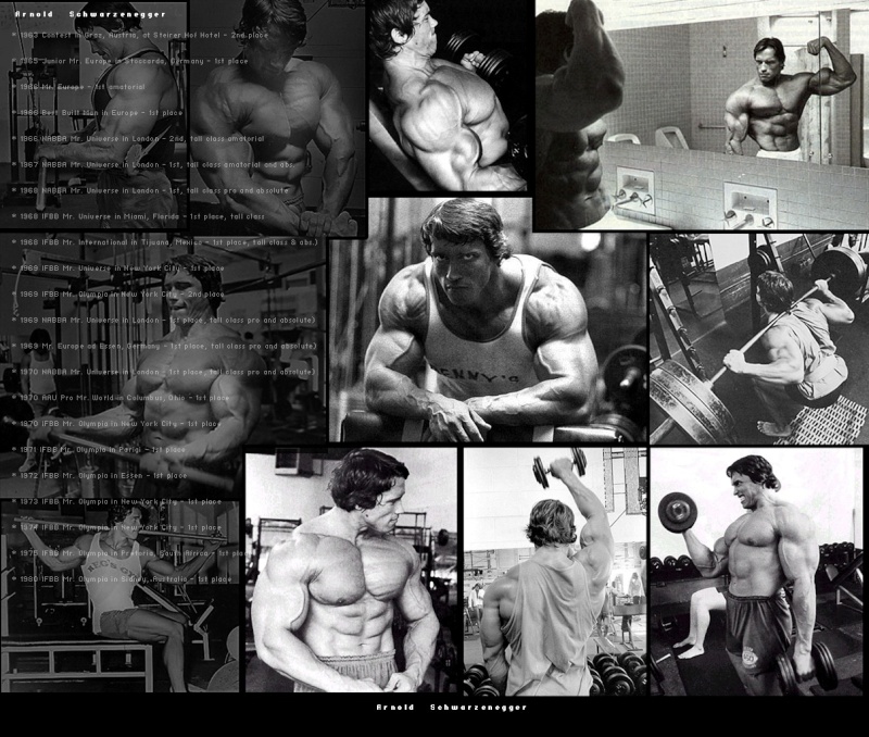 affiche , poster ..... Arnold16