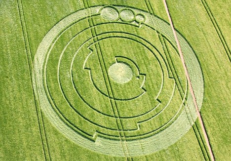 Cropcircle gigante con forma de medusa Figura11