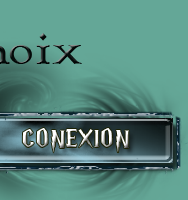 Connexion