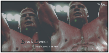 Brock Lesnar Lax14