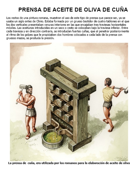 Prensas y Molinos de ACEITE Aceite17