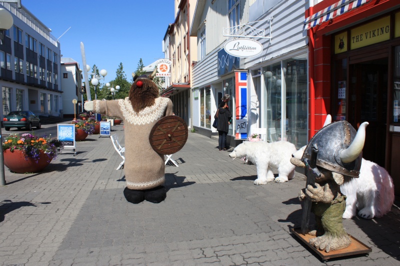 Исландский город Акурейри считается одним из лучших туристических направлений Img_4010