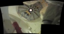 Quelques panorama des missions STS 1_mes_11