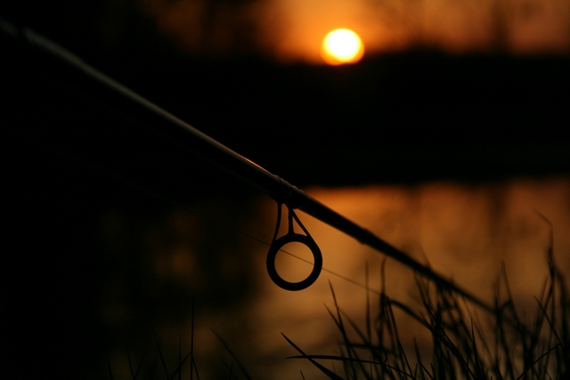 CAmag comment aborder les premières pêches de nuit Canne_13