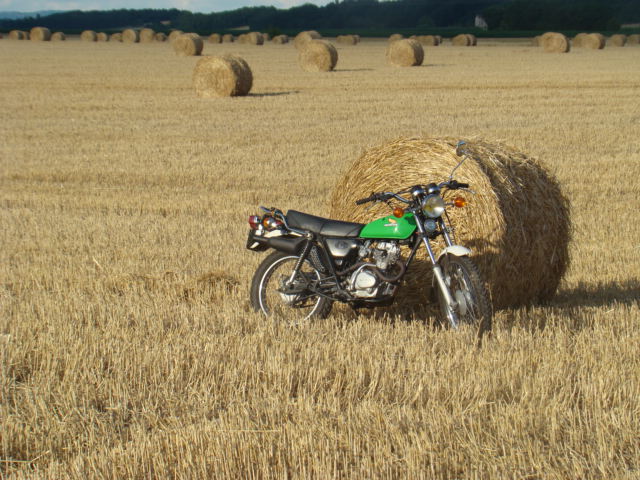vote pour le concours photo du mois de juillet (2009) Dsc05710