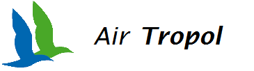 Airlines Manager Logo_a10