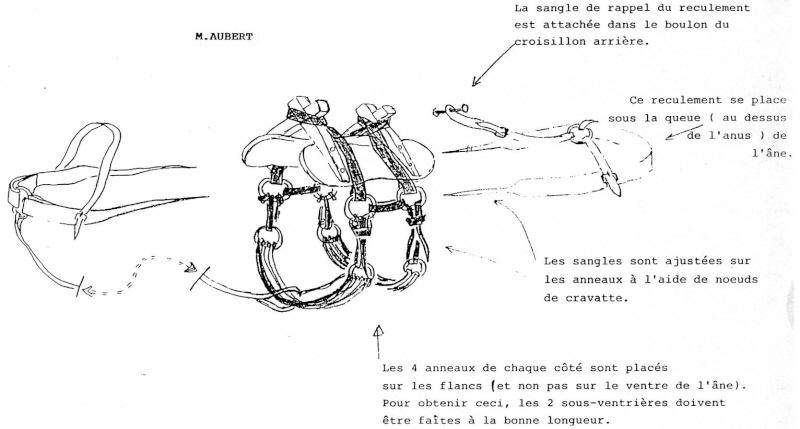 Fabrication d'un bât Montag10