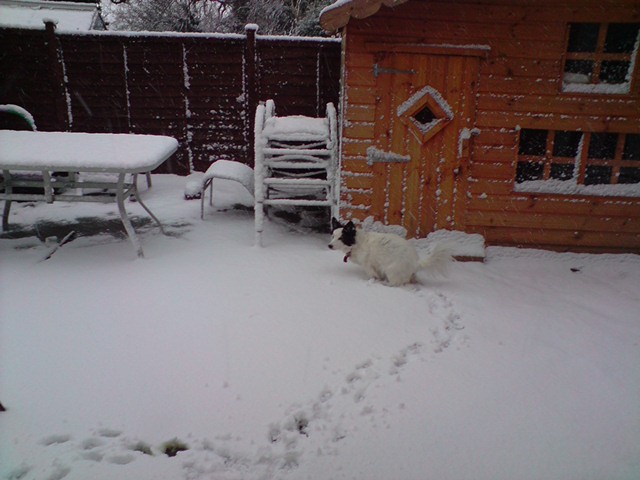 This years snow in kettering, george playin in the snow aswell lol P0202010