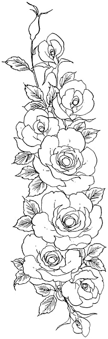 Brushs Fleurs 00811