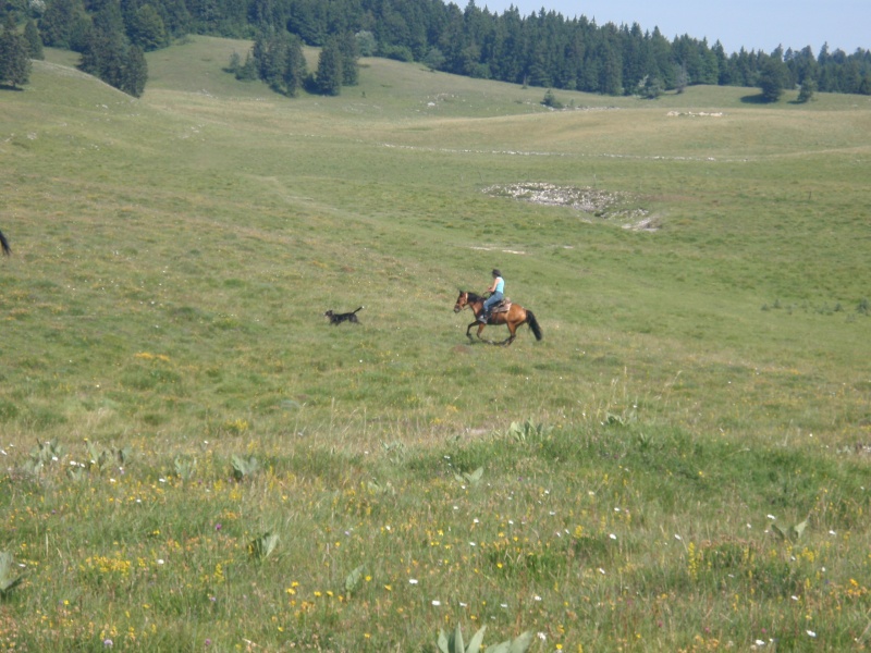 Les plus beaux alpages de l'ain, 4j d'autonomie totale - Page 2 P7130212