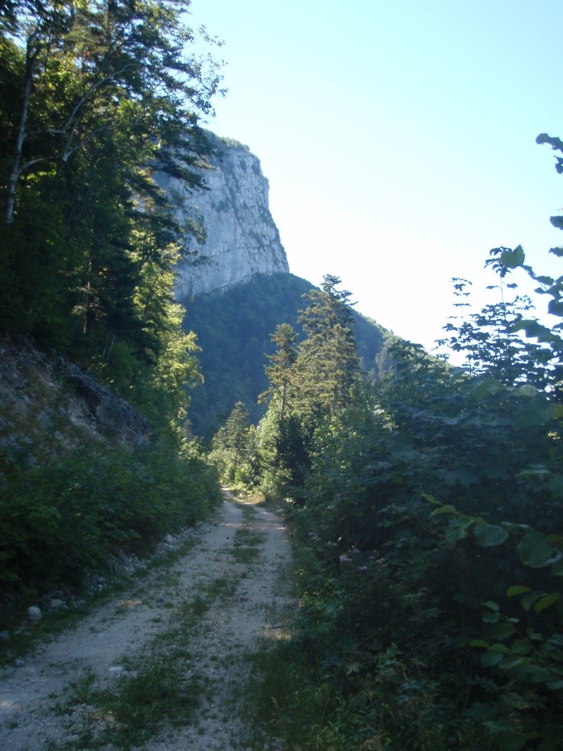 Le Vercors, on en revient! - Page 2 P8010011