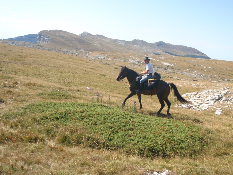 Le Vercors, on en revient! - Page 2 P8060228