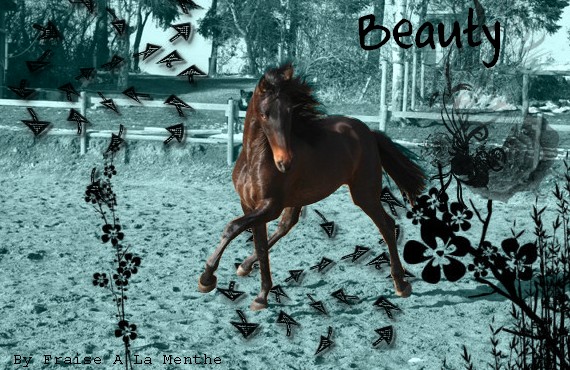 Presentation de Beauty [Prise] Beauty10