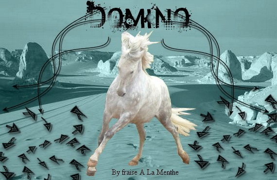 inscritions des chevaux du clans de domino! Domino10