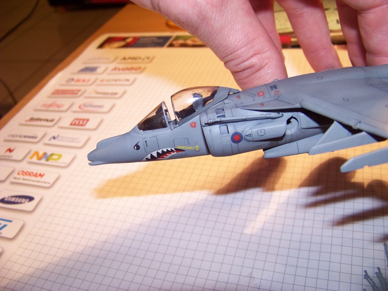 HARRIER GR7 1/72 Telic operation [Hasegawa] 100_1318