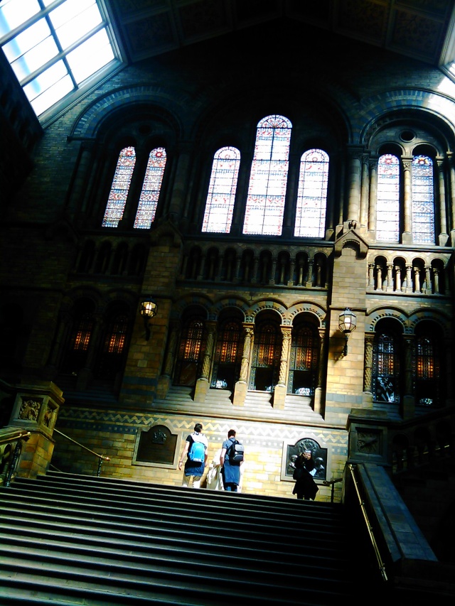 Natural History Museum Imag0034