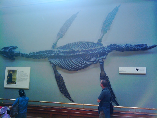 Natural History Museum Imag0043