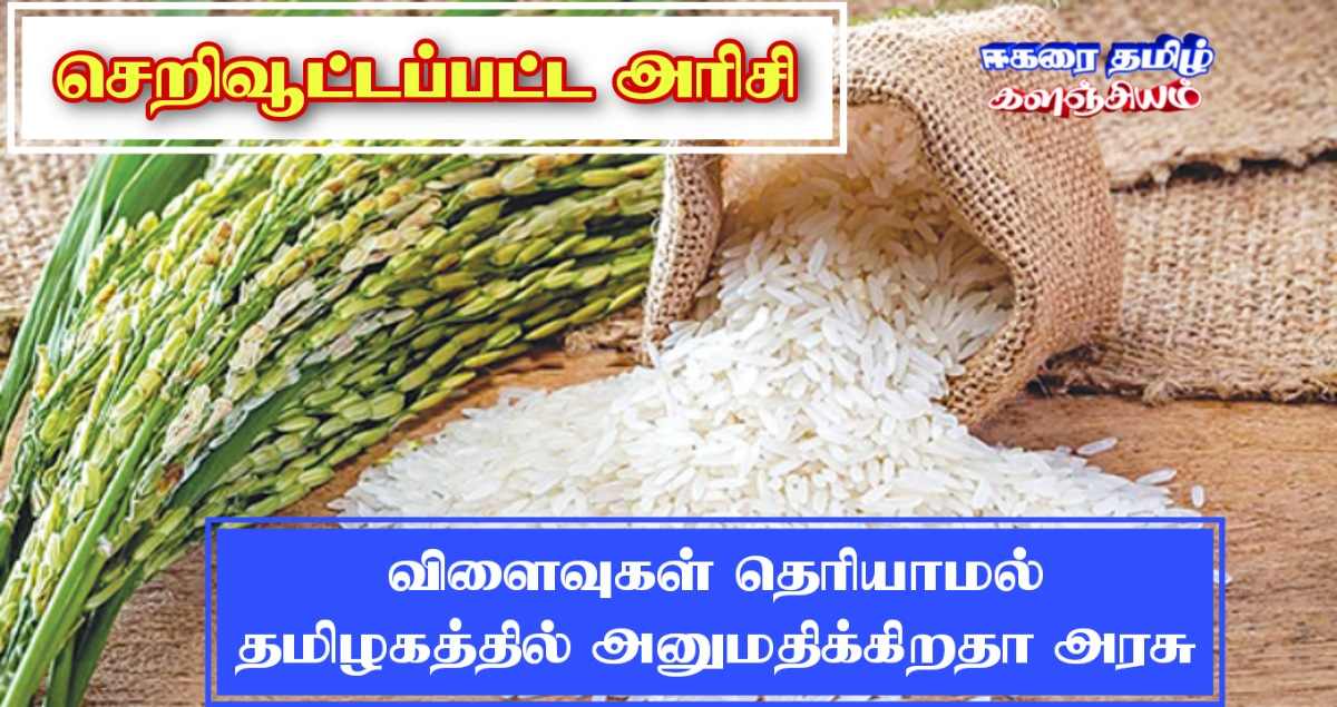 தமிழ்நாட்டில் செறிவூட்டப்பட்ட அரிசி! - விளைவுகள் தெரியாமல் அனுமதிக்கிறதா அரசு? Rice10