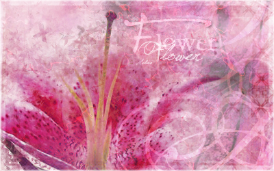 Melim'dipique presentation x) Flower10