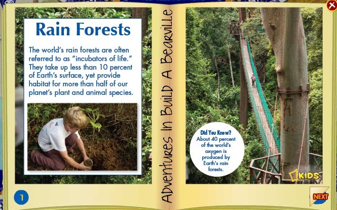 Rainforest : Paws Fur Nature Magazine-New Issue Rainfo10