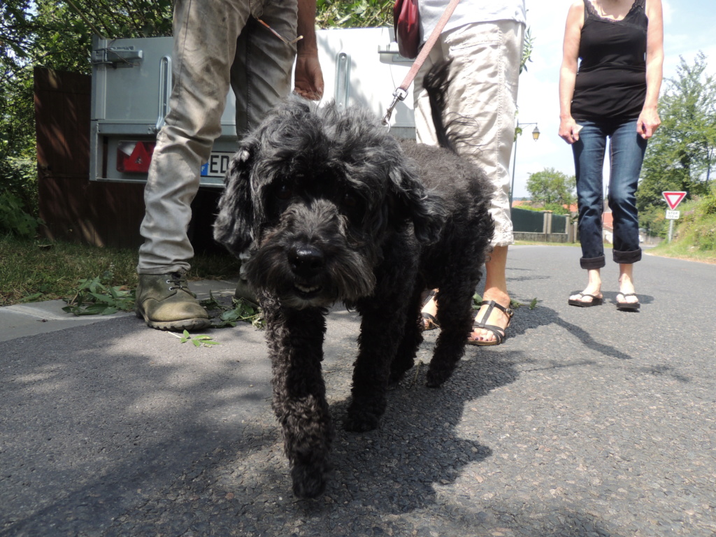 nouvelles de Rasta adopté en décembre 2013. Jeudi_12