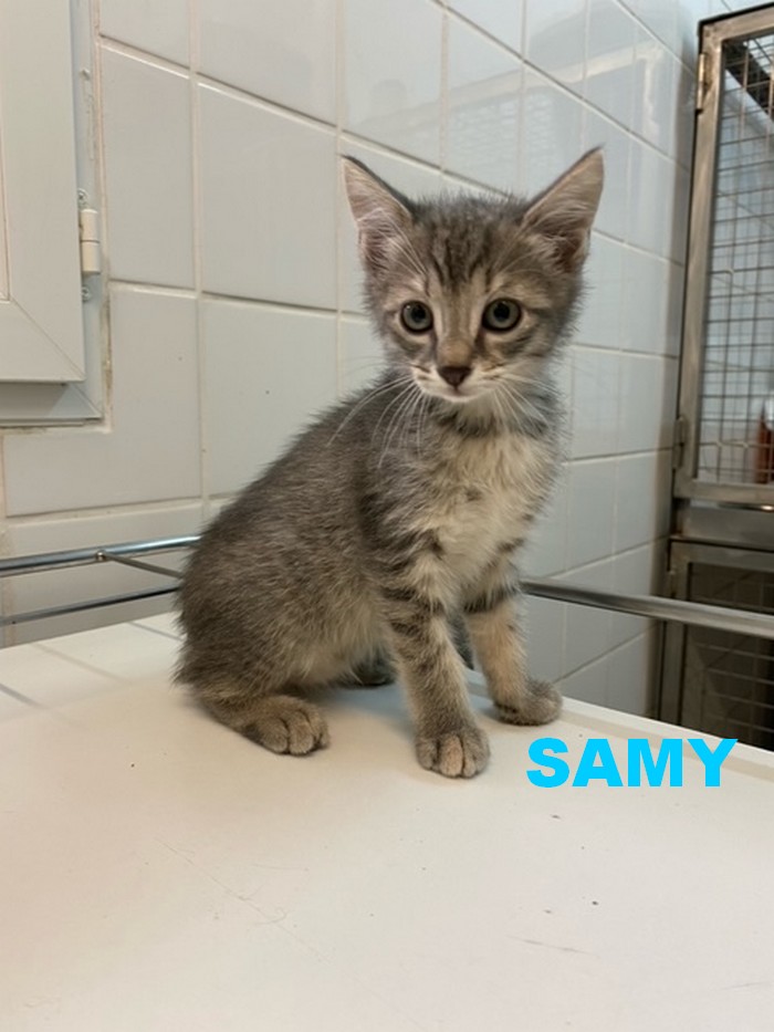 Adoption de SAMY- août 2021 Samy10