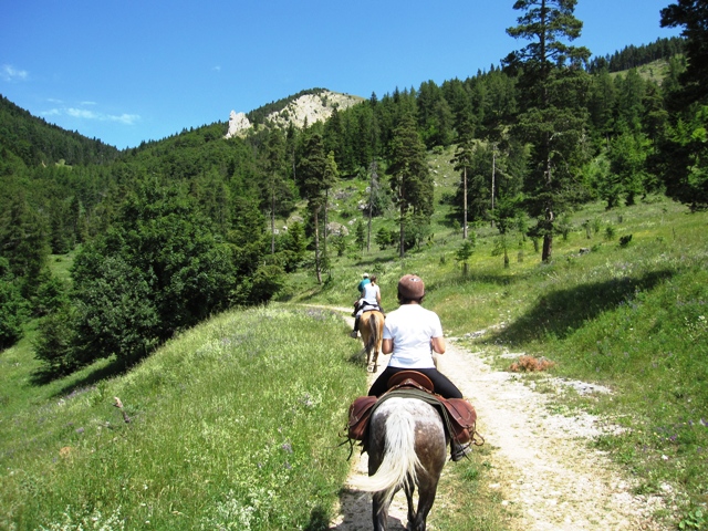 Rando Hautes Alpes...Beauchaîne.... - Page 12 Beauch14