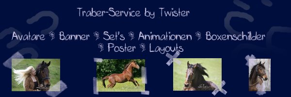 Traber-Service by Twister Servic11