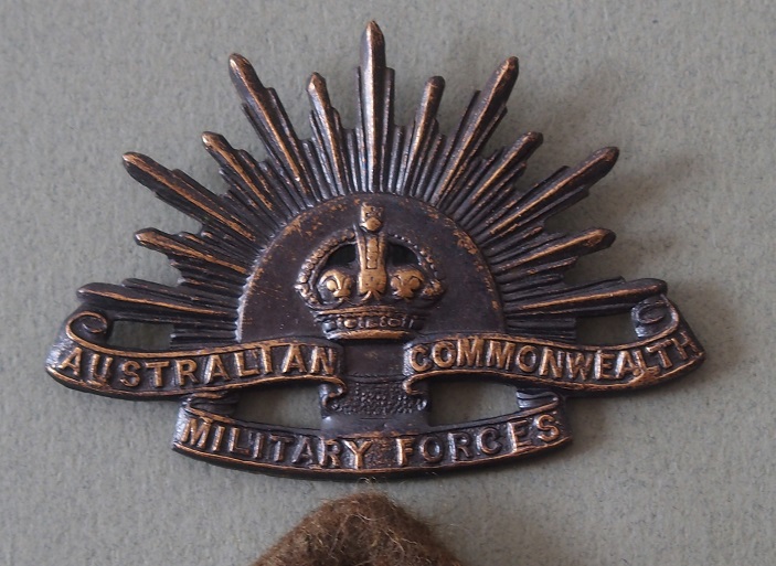 Badges de l'armée Britannique et du Commonwealth - Page 10 Pc310047