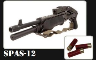 Les armes moyennes Spas-113