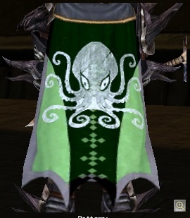 Guild Cape! Gw24910