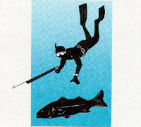 معدات الغوص - الغوص تحت الماء Spear11