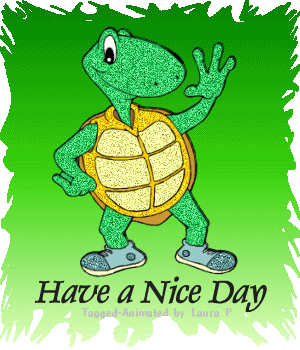 Good Morning to all of you Turtle10