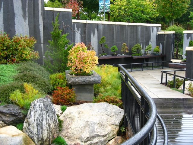 Autumn at the NC Arboretum bonsai garden Nature43