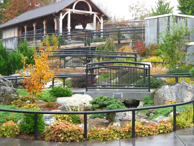 Autumn at the NC Arboretum bonsai garden Nature45