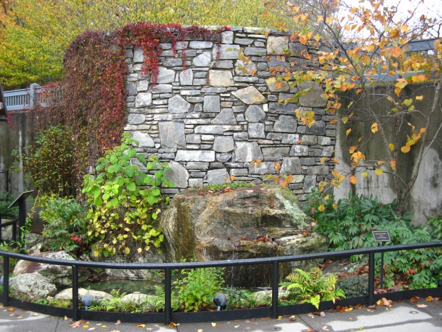 Autumn at the NC Arboretum bonsai garden Nature48