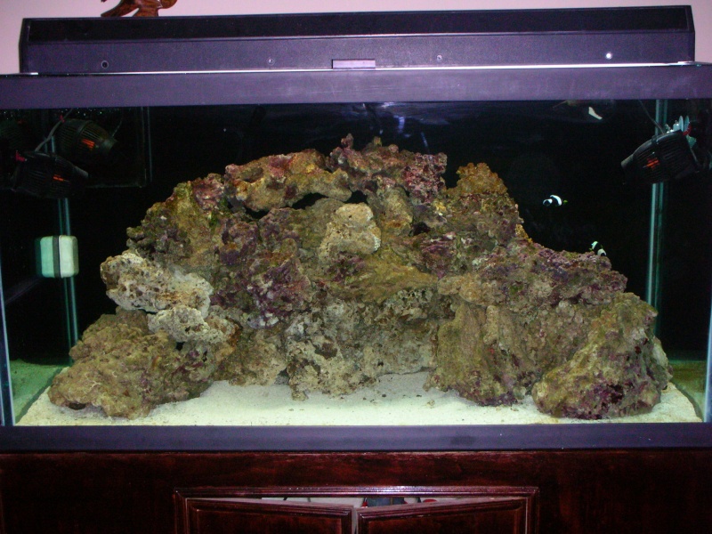 Derek's 90 gal. reef build For_sa10