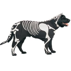 why dogs hate halloween Cid_8510
