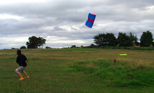 kite flying yesterday Sm01_510