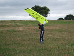 kite flying yesterday Sm03_210