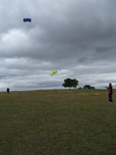 kite flying yesterday Sm06_210