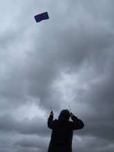 kite flying yesterday Sm07_210