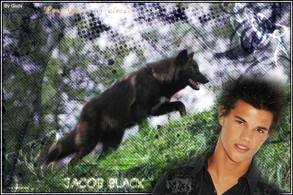 Jacob Black Jacob-11