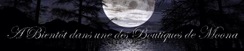 *La tite Boutique des Visages de Moona* - Seul la lune éblouit le votre - A_bien10