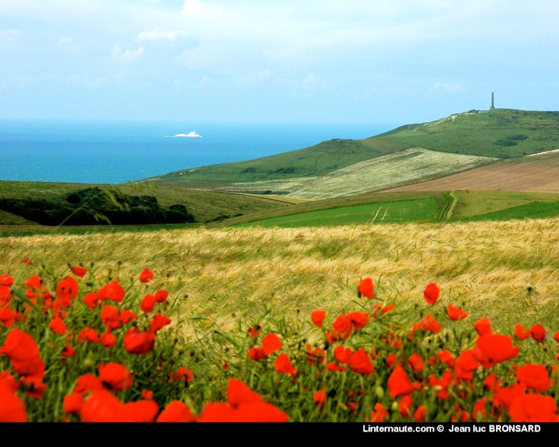 صور راااااائعة Calais10