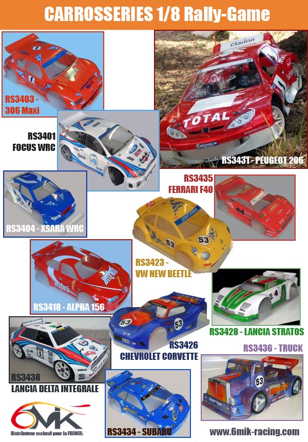 mon losi eight bl rally game Carro_10